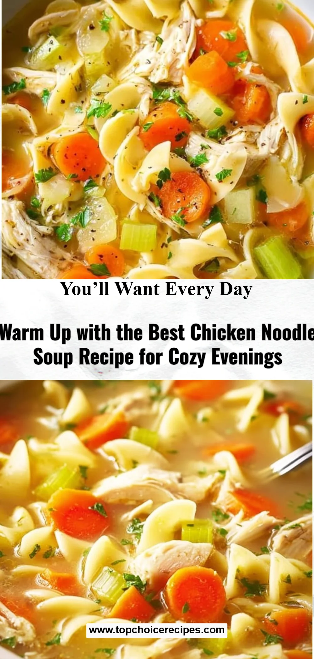 Best Chicken Noodle Soup