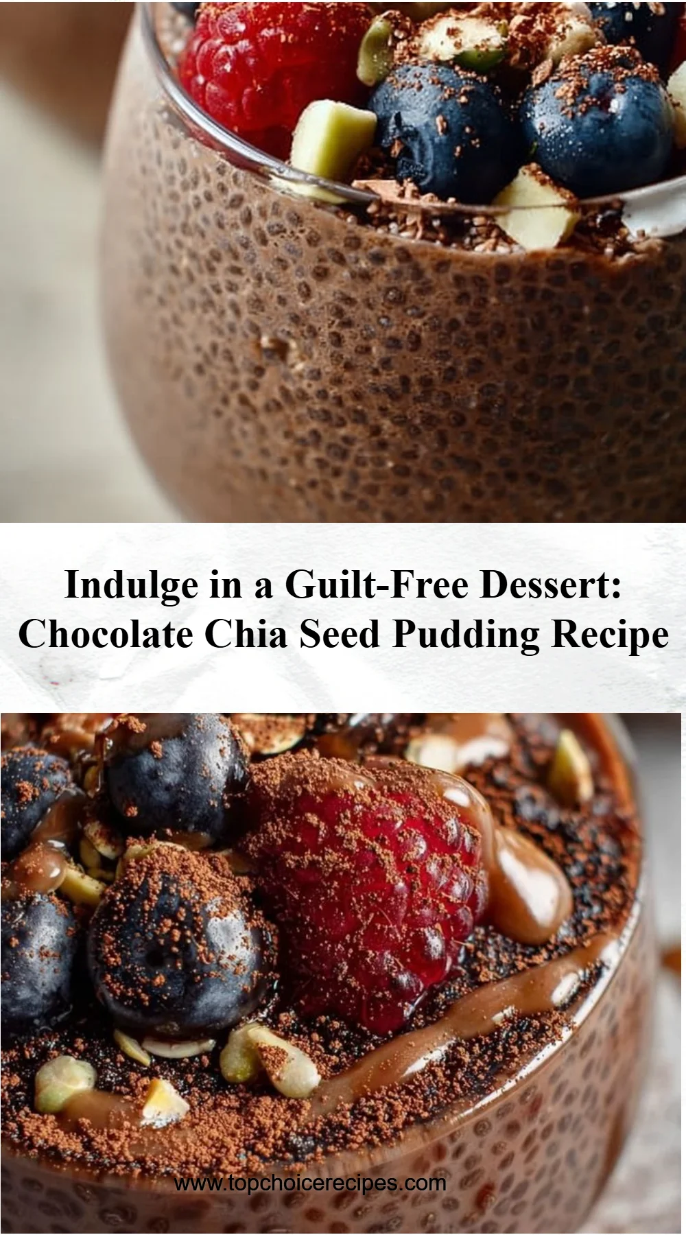 Chocolate Chia Seed Pudding
