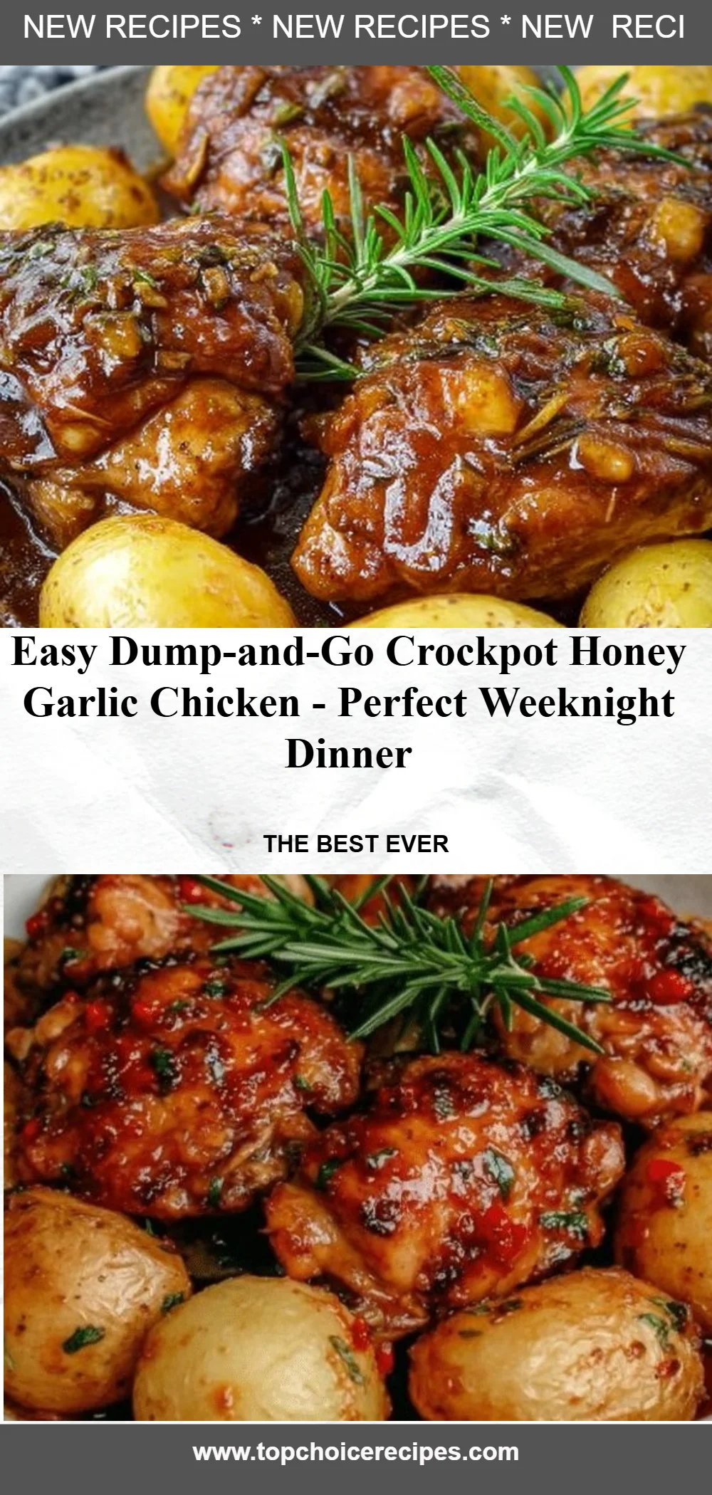 Easy Dump-and-Go Crockpot Honey Garlic Chicken Dinner 6 Easy Dump-and-Go Crockpot Honey Garlic Chicken Dinner