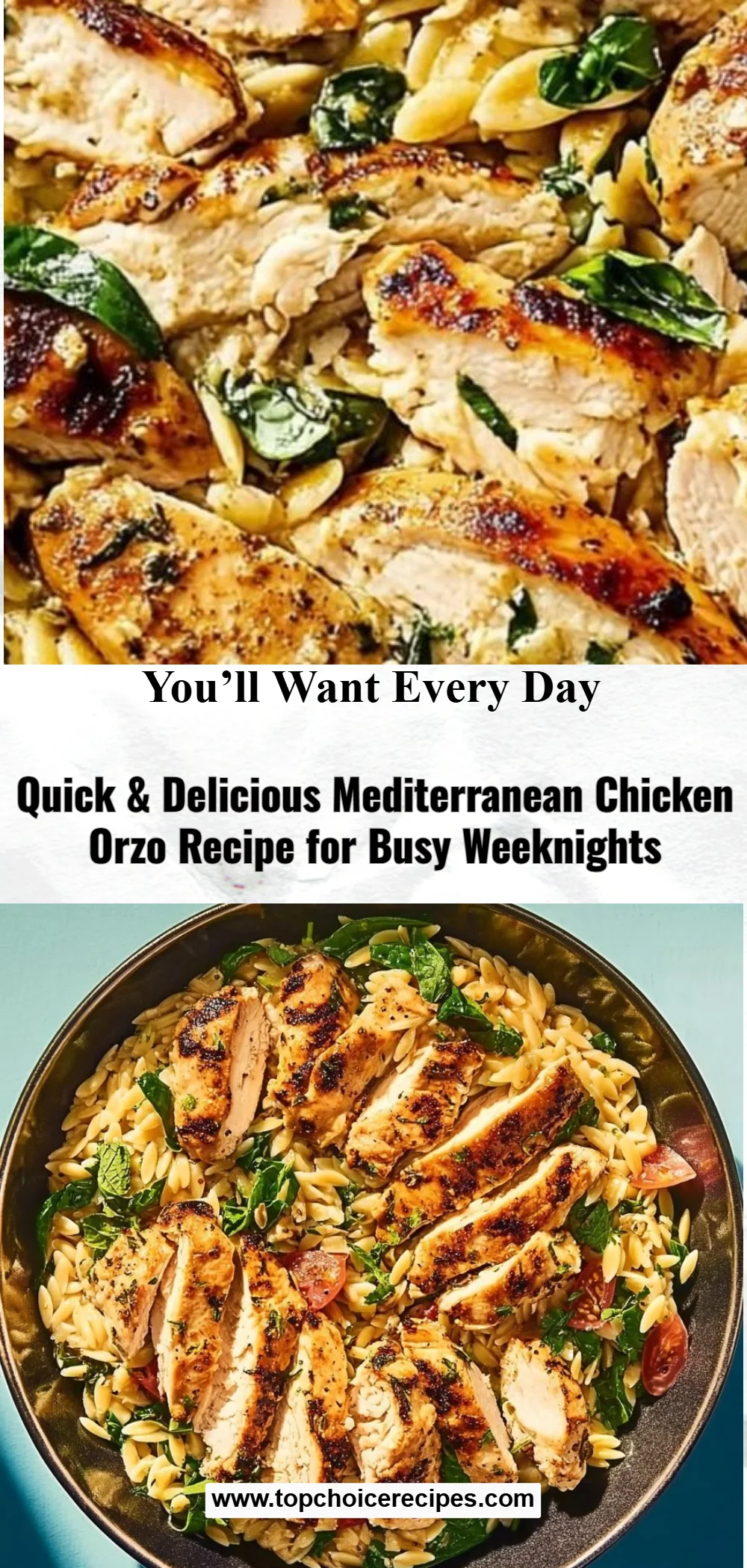 Flavorful Mediterranean Chicken Orzo Recipe