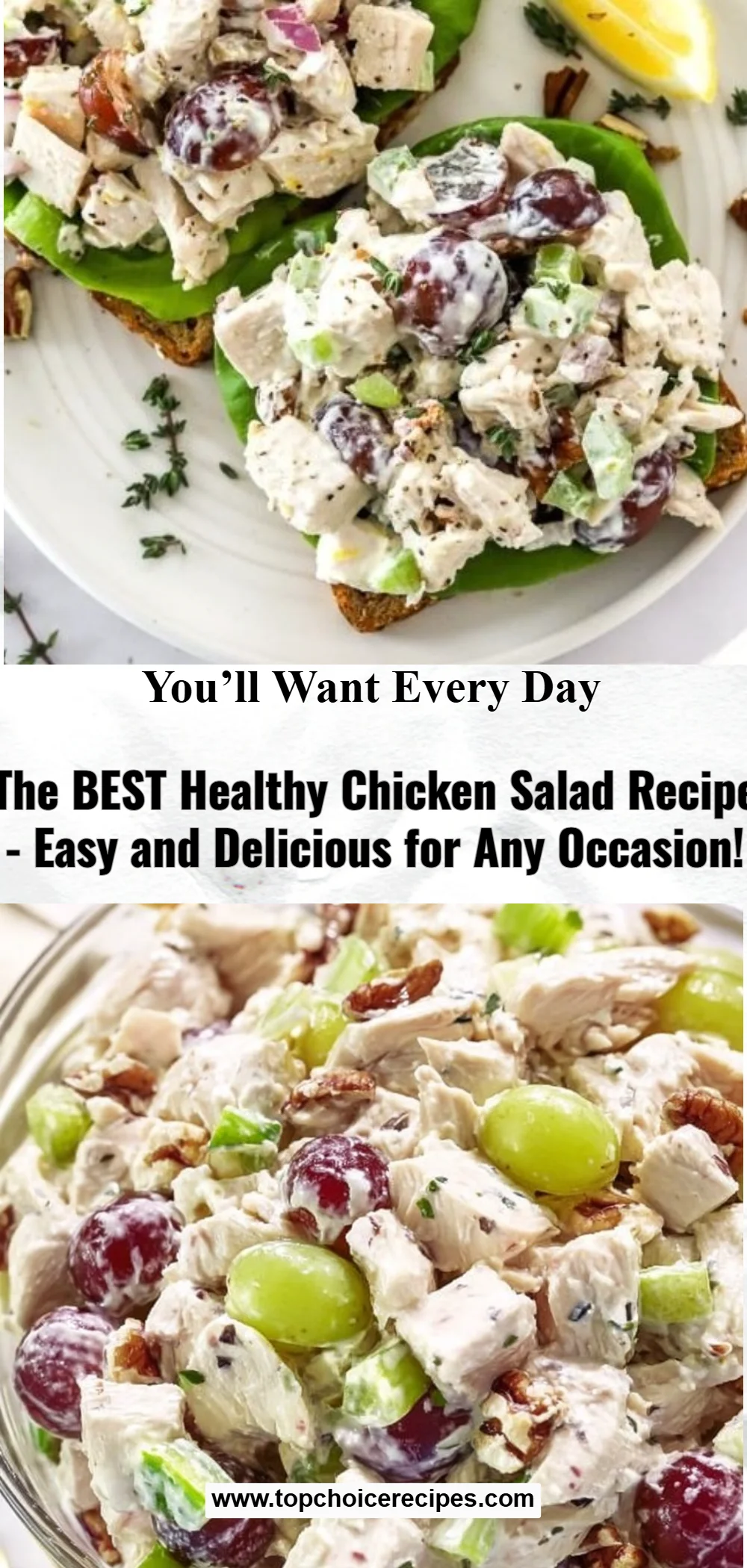 The BEST Healthy Chicken Salad