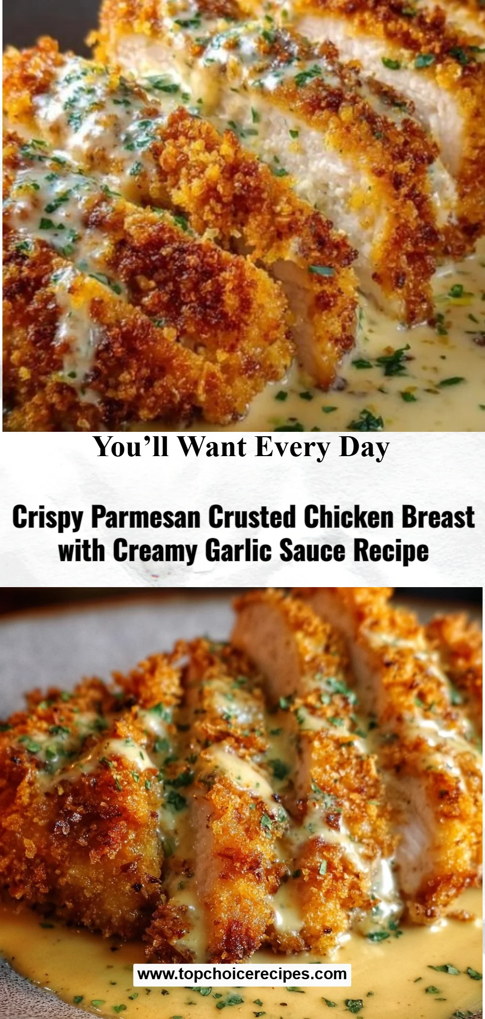 Crispy Parmesan Chicken with Creamy Garlic Sauce 6 Crispy Parmesan Chicken with Creamy Garlic Sauce