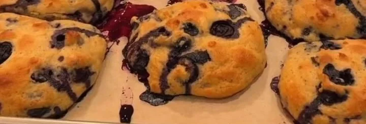Healthy Berry Pastries 8 Healthy Berry Pastries