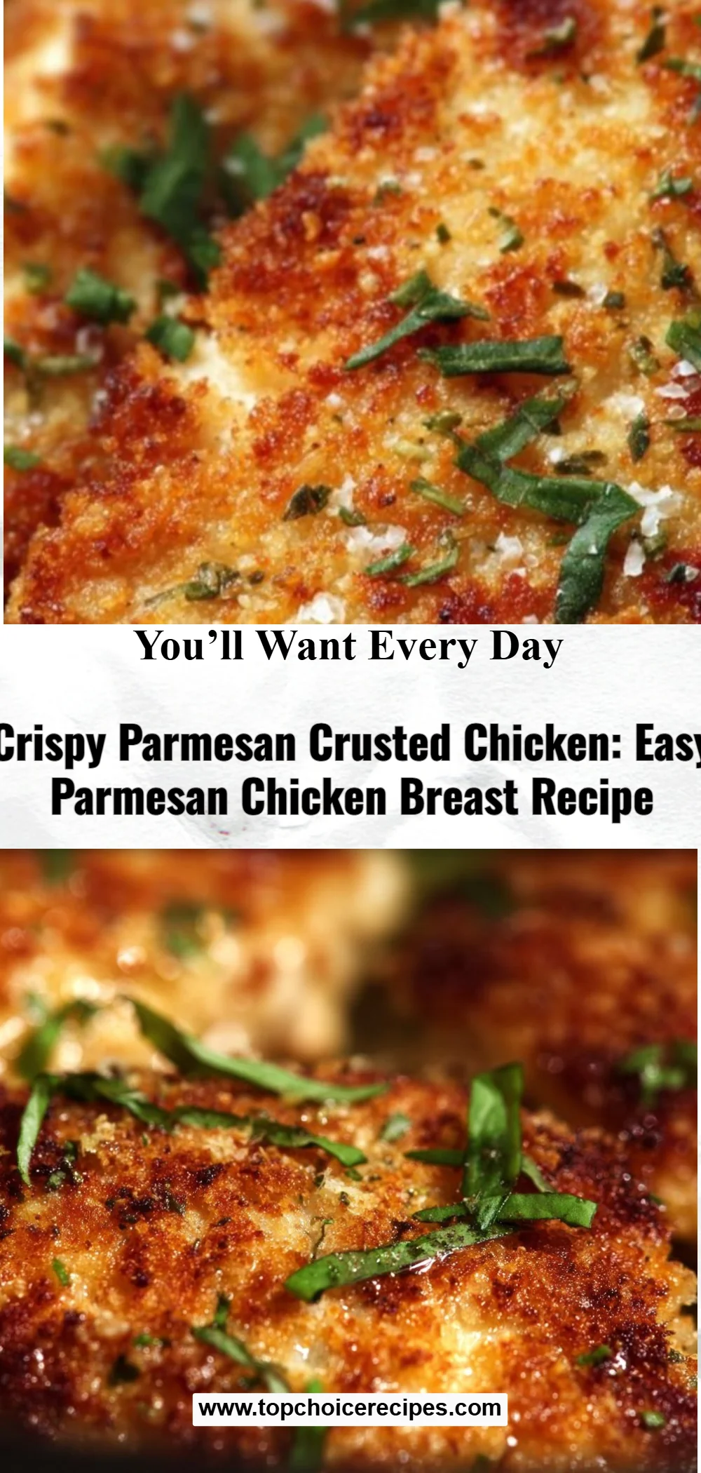 Parmesan Crusted Chicken 5 Parmesan Crusted Chicken