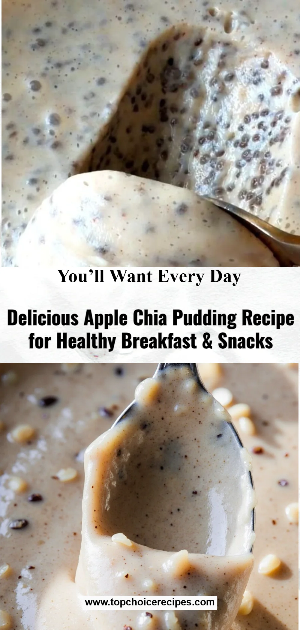 Apple Chia Pudding 6 Apple Chia Pudding
