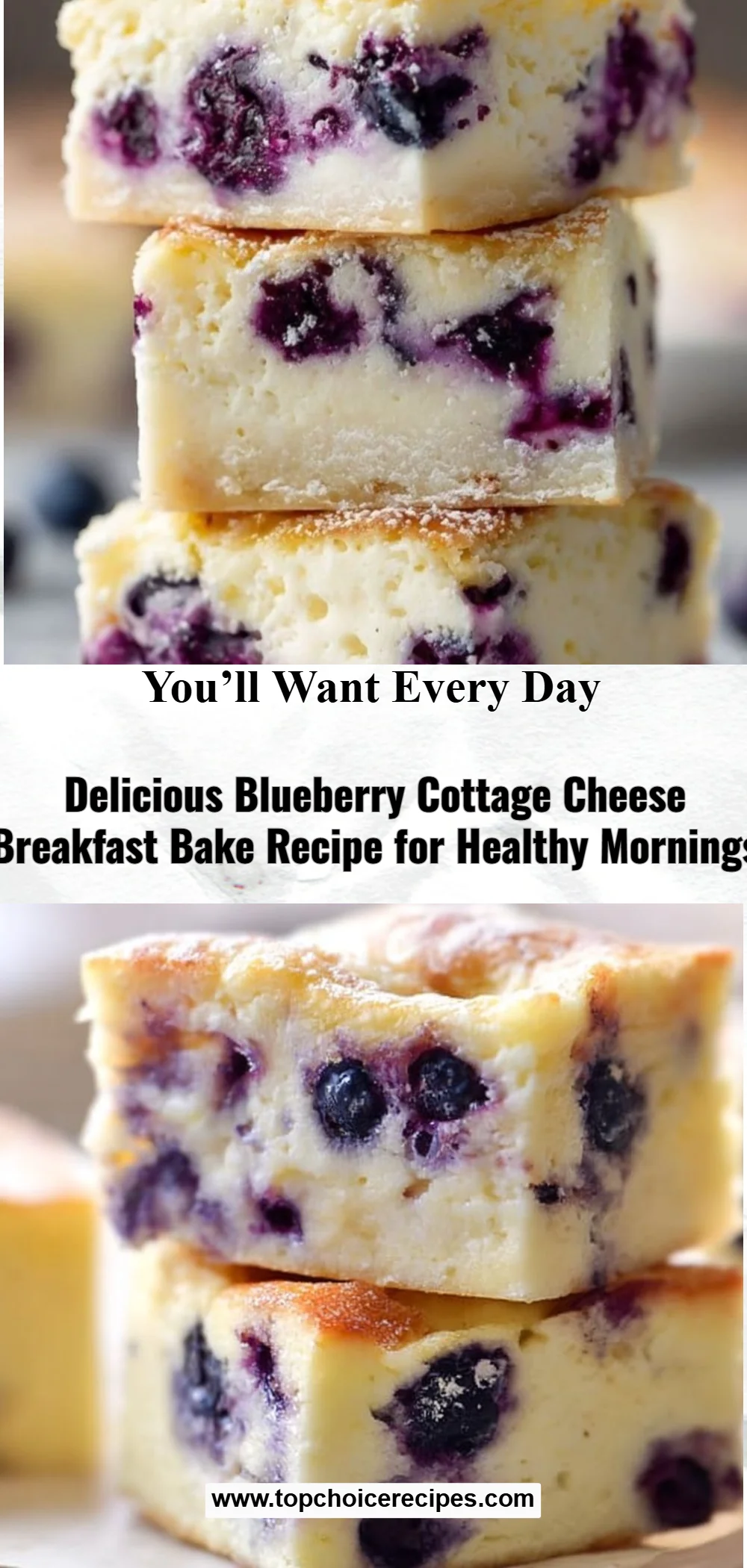 Blueberry Cottage Cheese Breakfast Bake