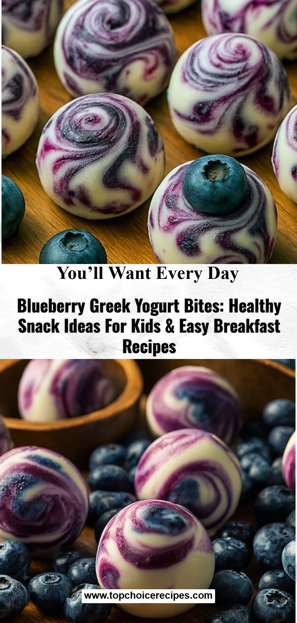 Blueberry Greek Yogurt Bites
