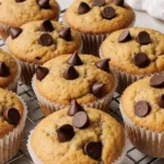 greek yogurt chocolate chip oatmeal muffins 2026 04 07 154711 1 Top choice recipes