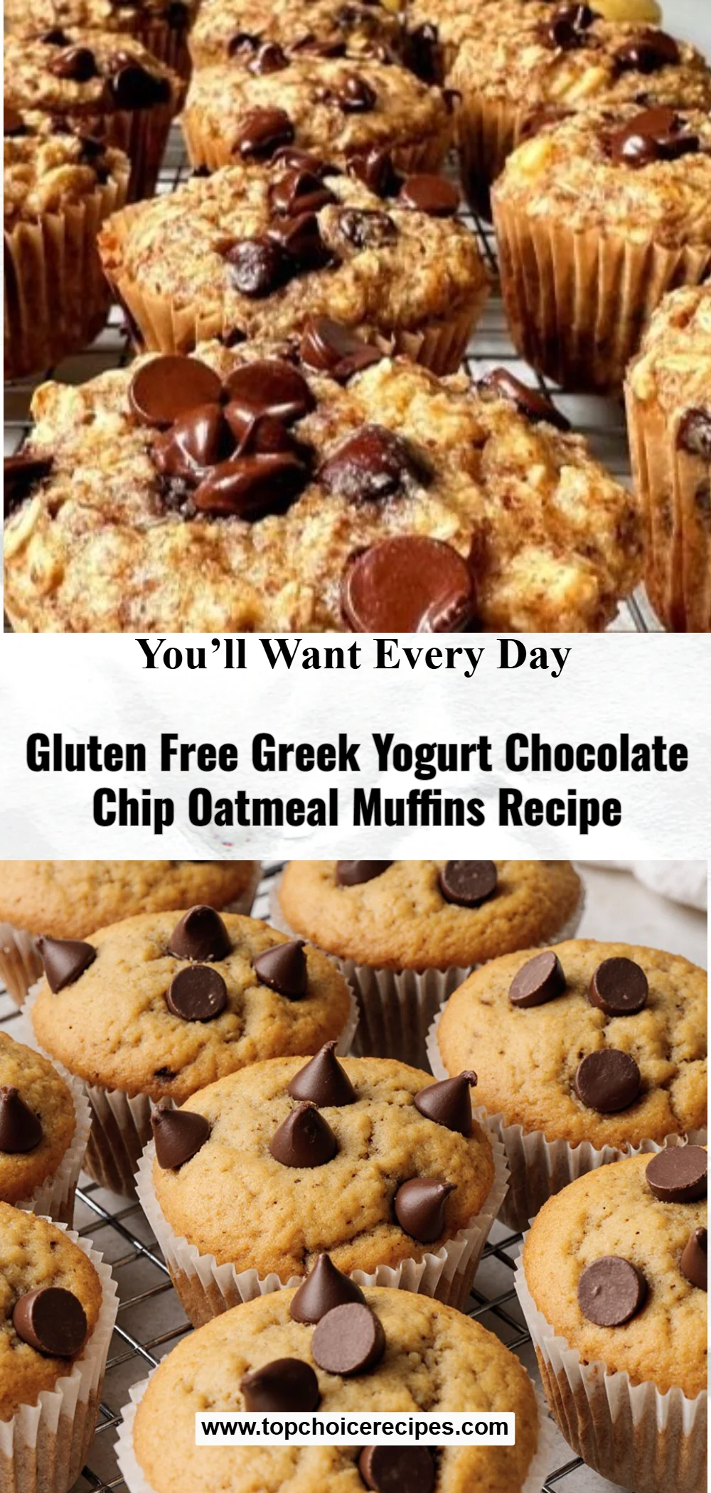 Greek Yogurt Chocolate Chip Oatmeal Muffins