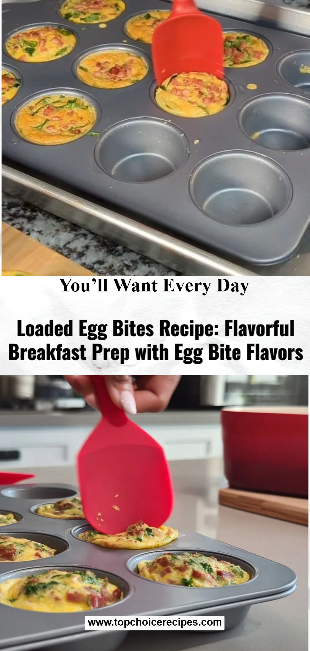Loaded Egg Bites 5 Loaded Egg Bites