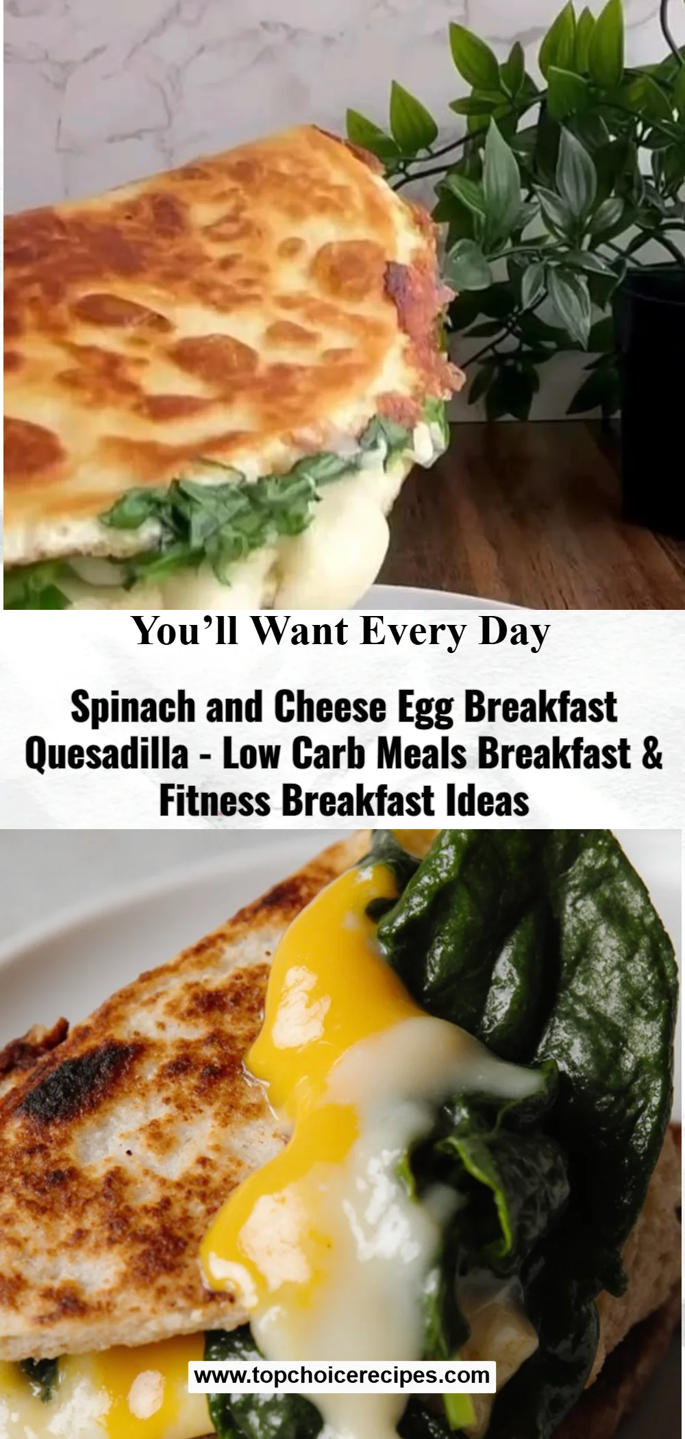 Spinach and Cheese Egg Breakfast Quesadilla