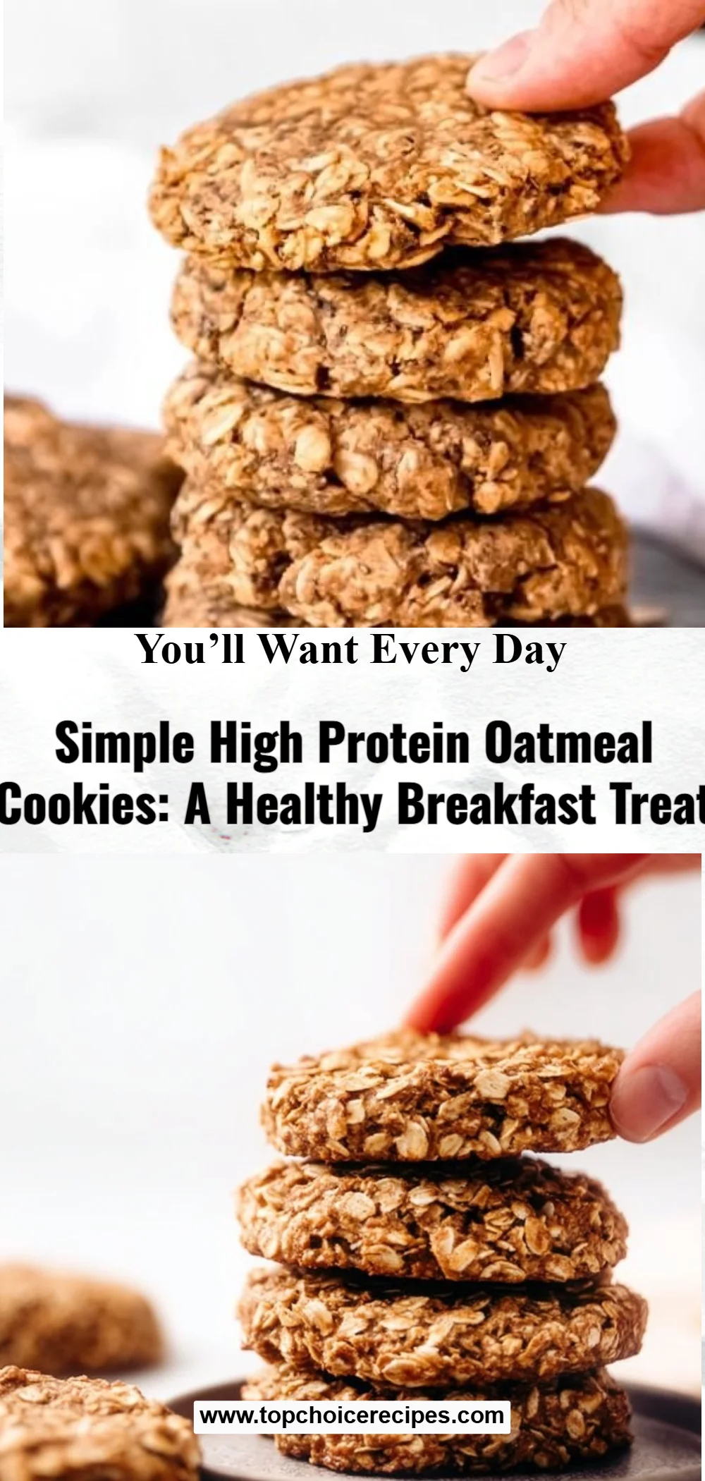 Simple Oatmeal Protein Cookies